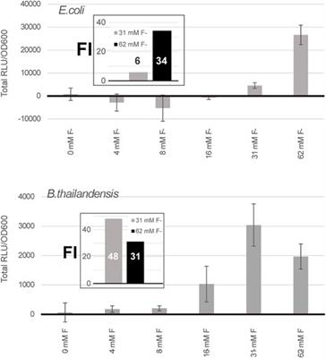 Fluoride-Controlled Riboswitch-Based Dampening of Gene Expression for Cloning Potent Promoters